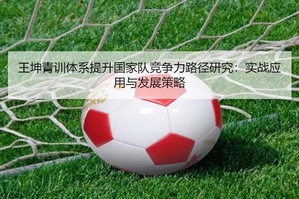王坤青训体系提升国家队竞争力路径研究：实战应用与发展策略